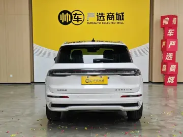 2024 Lincoln Adventurer NEV с пробегом 17 000 км