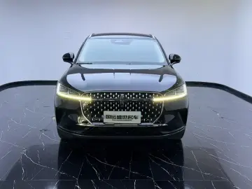 2023 Lincoln Adventurer NEV с пробегом 52 000 км