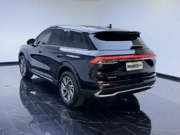 2023 Lincoln Adventurer NEV с пробегом 52 000 км