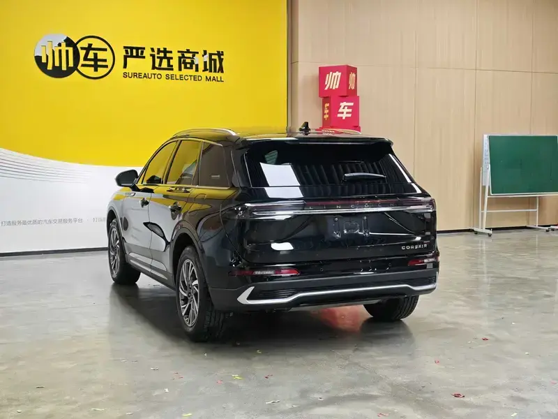 2023 Lincoln Adventurer NEV с пробегом 42 000 км