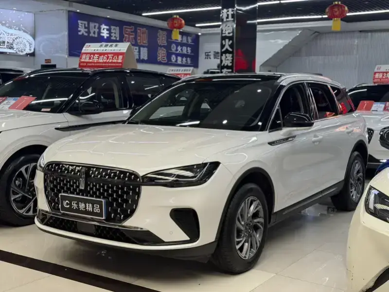 2024 Lincoln Adventurer NEV с пробегом 21 000 км