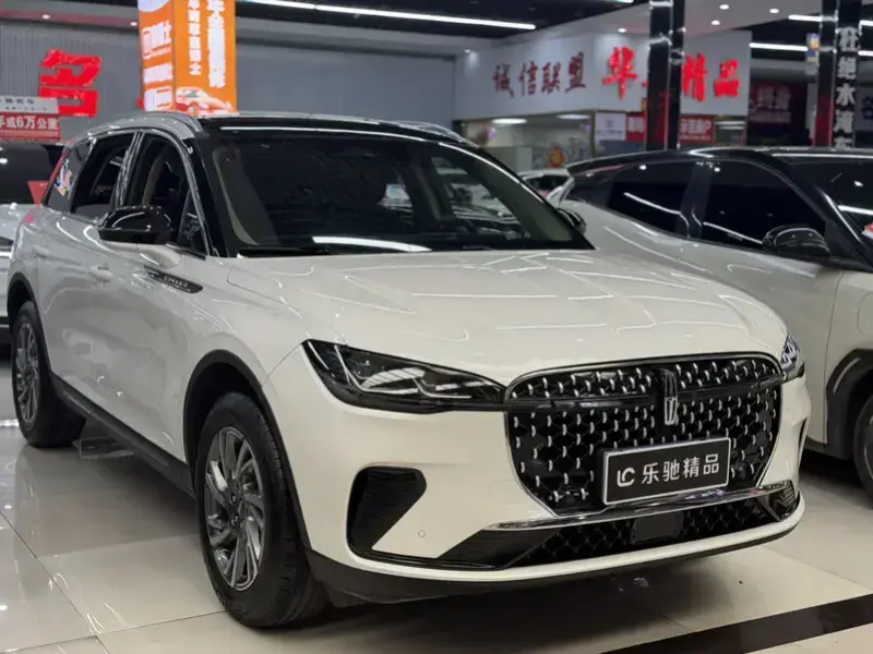 2024 Lincoln Adventurer NEV с пробегом 21 000 км