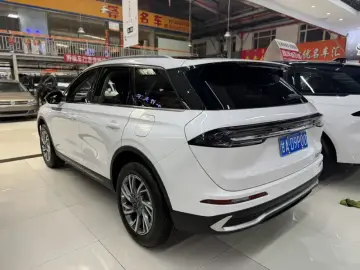 2024 Lincoln Adventurer NEV с пробегом 21 000 км