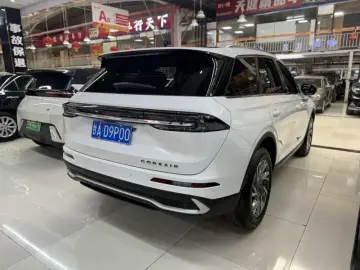 2024 Lincoln Adventurer NEV с пробегом 21 000 км