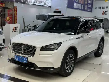 2021 Lincoln Adventurer NEV с пробегом 74 000 км