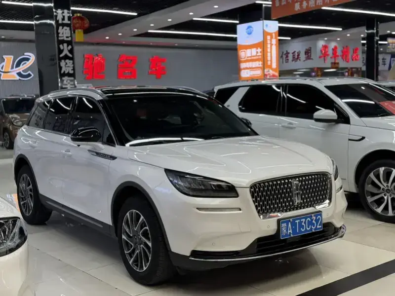 2021 Lincoln Adventurer NEV с пробегом 74 000 км