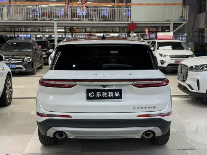2021 Lincoln Adventurer NEV с пробегом 74 000 км