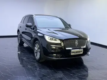 2020 Lincoln Adventurer NEV с пробегом 77 000 км