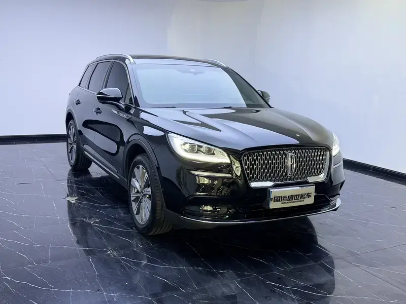 2020 Lincoln Adventurer NEV с пробегом 77 000 км