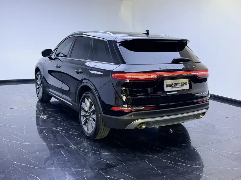 2020 Lincoln Adventurer NEV с пробегом 77 000 км