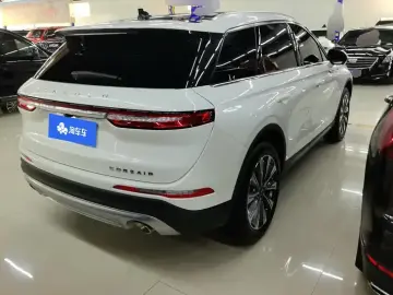 2022 Lincoln Adventurer NEV с пробегом 29 000 км