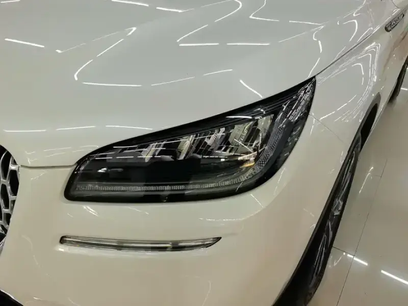 2022 Lincoln Adventurer NEV с пробегом 29 000 км