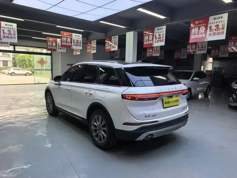 2021 Lincoln Adventurer NEV с пробегом 48 000 км