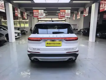 2021 Lincoln Adventurer NEV с пробегом 48 000 км