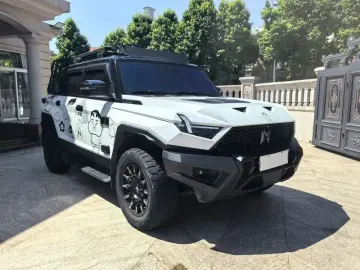2023 Mengshi 917 с пробегом 53 000 км
