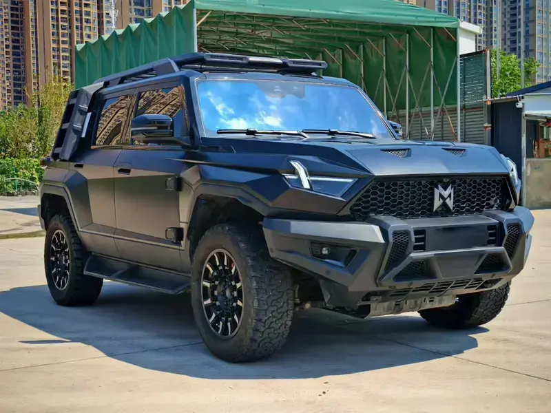 2023 Mengshi 917 с пробегом 29 000 км