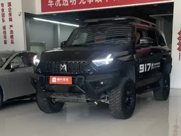 Mengshi 917