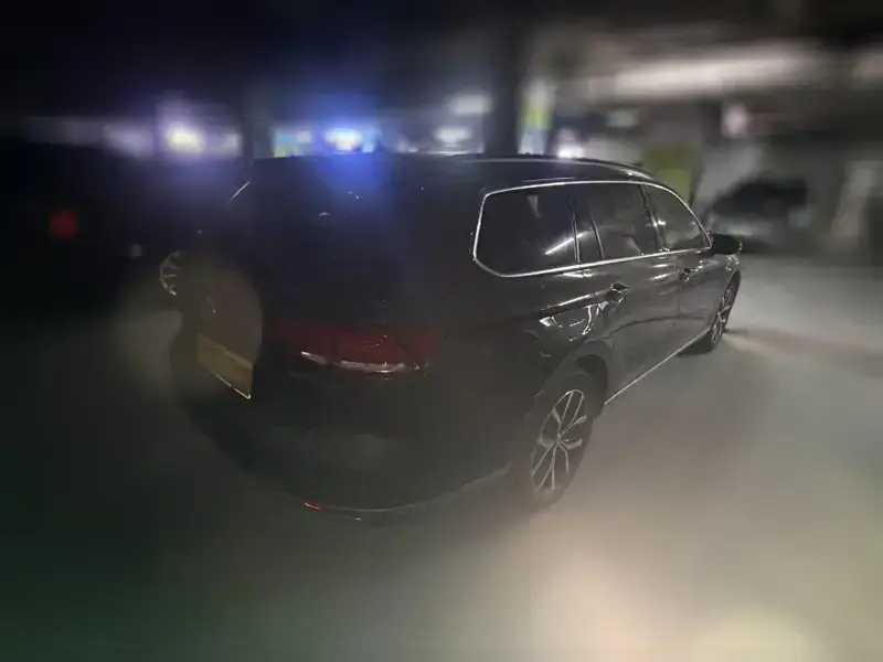 2018 Volkswagen Variant New Energy с пробегом 113 400 км