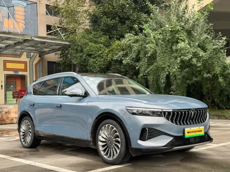 2021 Voyah FE с пробегом 50 000 км