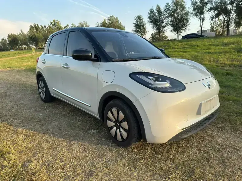 2023 Wuling Wuling Bingo с пробегом 20 000 км