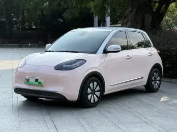 Wuling Wuling Bingo