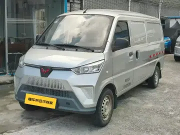 Wuling Wuling EV50