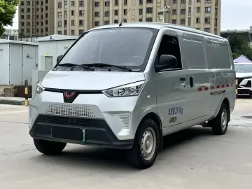 Wuling Wuling EV50