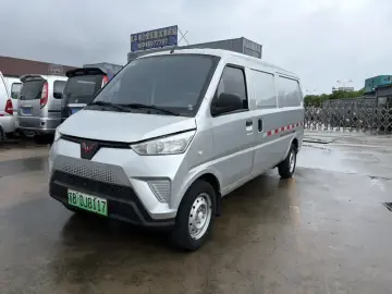 Wuling Wuling EV50