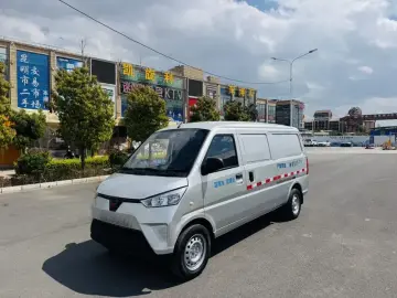 Wuling Wuling EV50
