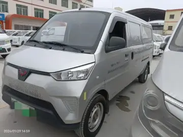 Wuling Wuling EV50