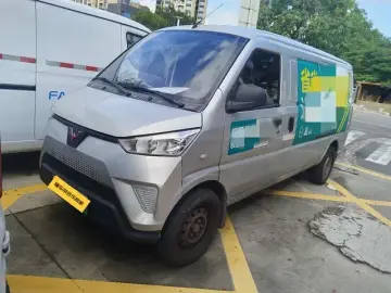 Wuling Wuling EV50