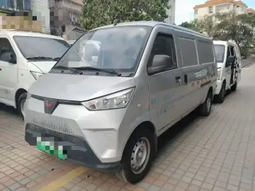 Wuling Wuling EV50