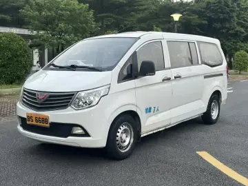 Wuling Wuling Journey Classic