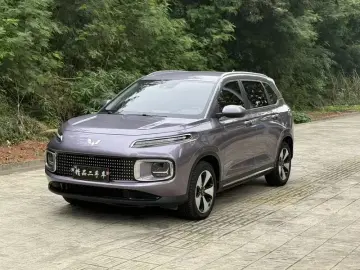 Wuling Wuling Stellar Cloud