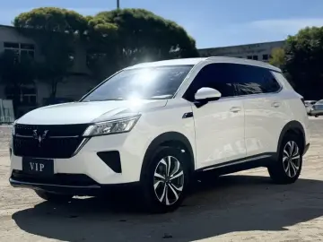 Wuling Wuling Xingchen