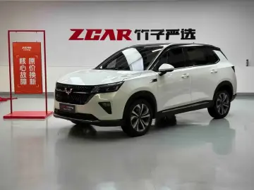 Wuling Wuling Xingchen