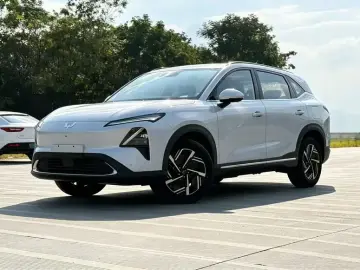 Wuling Wuling Xingguang S