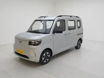 Wuling Wuling Zhiguang NEV