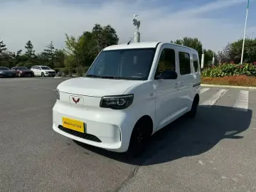 Wuling Wuling Zhiguang NEV