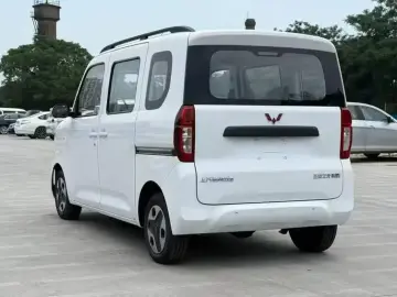 2025 Wuling Wuling Zhiguang NEV с пробегом 100 км