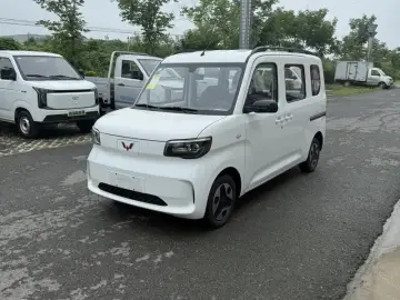 Wuling Wuling Zhiguang NEV
