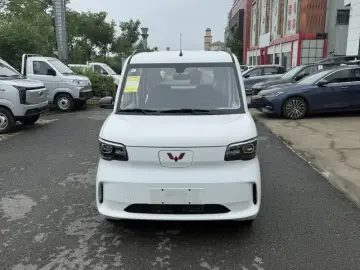 2025 Wuling Wuling Zhiguang NEV с пробегом 100 км
