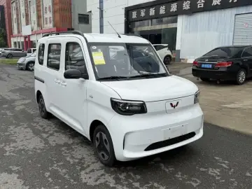 2025 Wuling Wuling Zhiguang NEV с пробегом 100 км