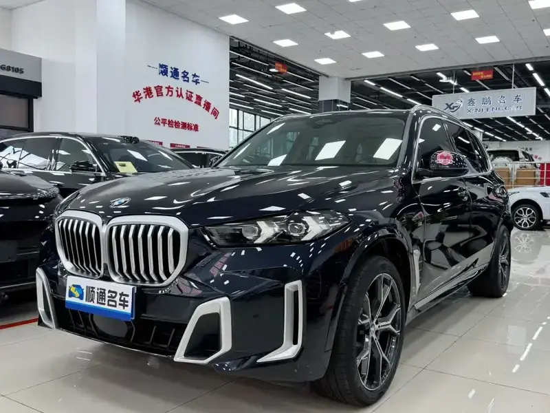 2023 BMW X5 с пробегом 30 100 км