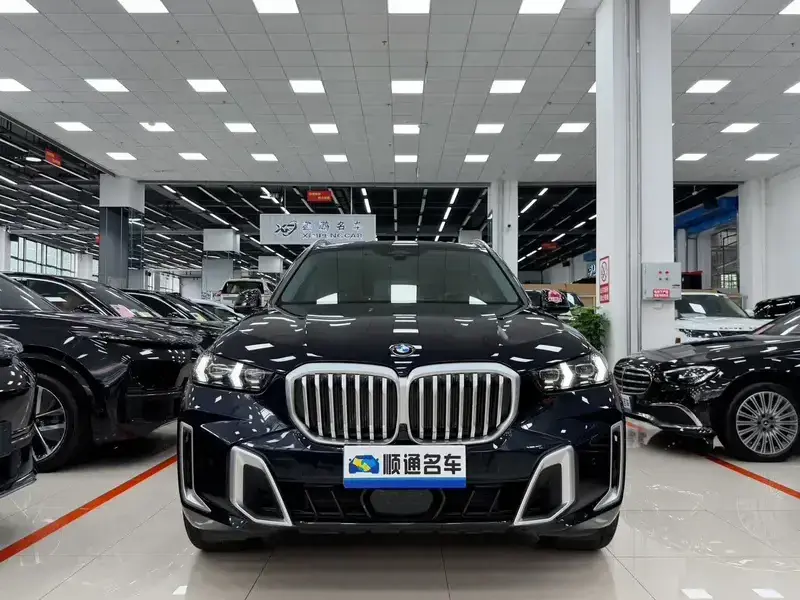 2023 BMW X5 с пробегом 30 100 км