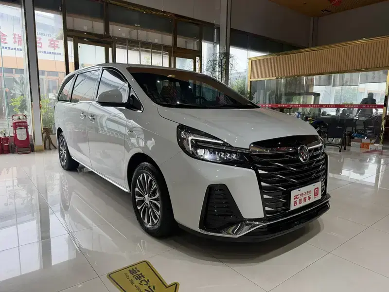 2023 Buick GL8 с пробегом 75 000 км