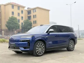 Denza N9