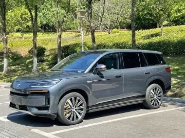 Denza N9