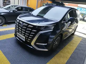 Denza D9