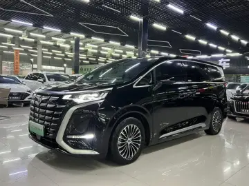 Denza D9